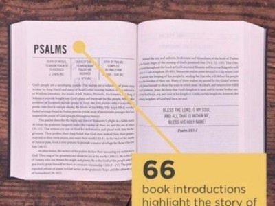 Love The Jesus Bible ESV Edition, from christianbook